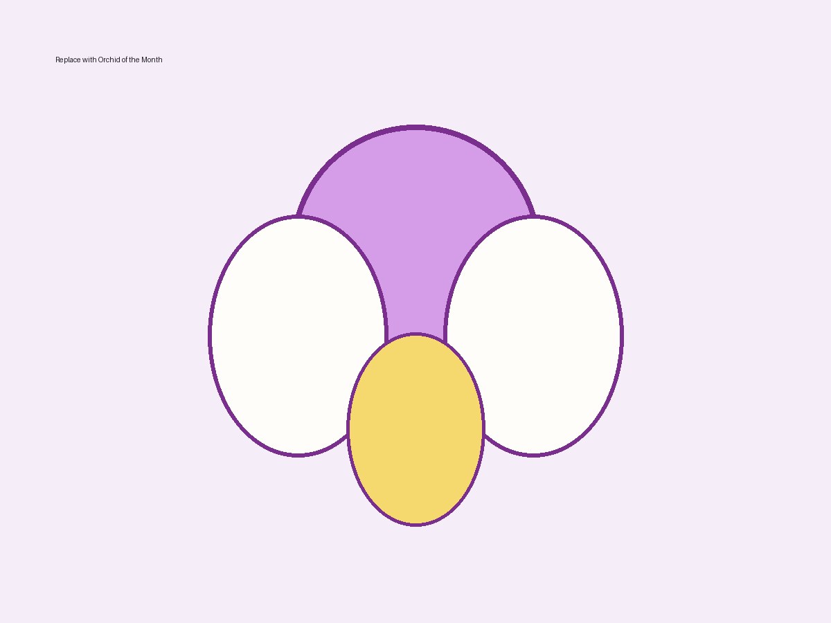 Orchid of the Month